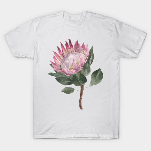 Pink Protea Flower Watercolour Painting T-Shirt by Flowering Words